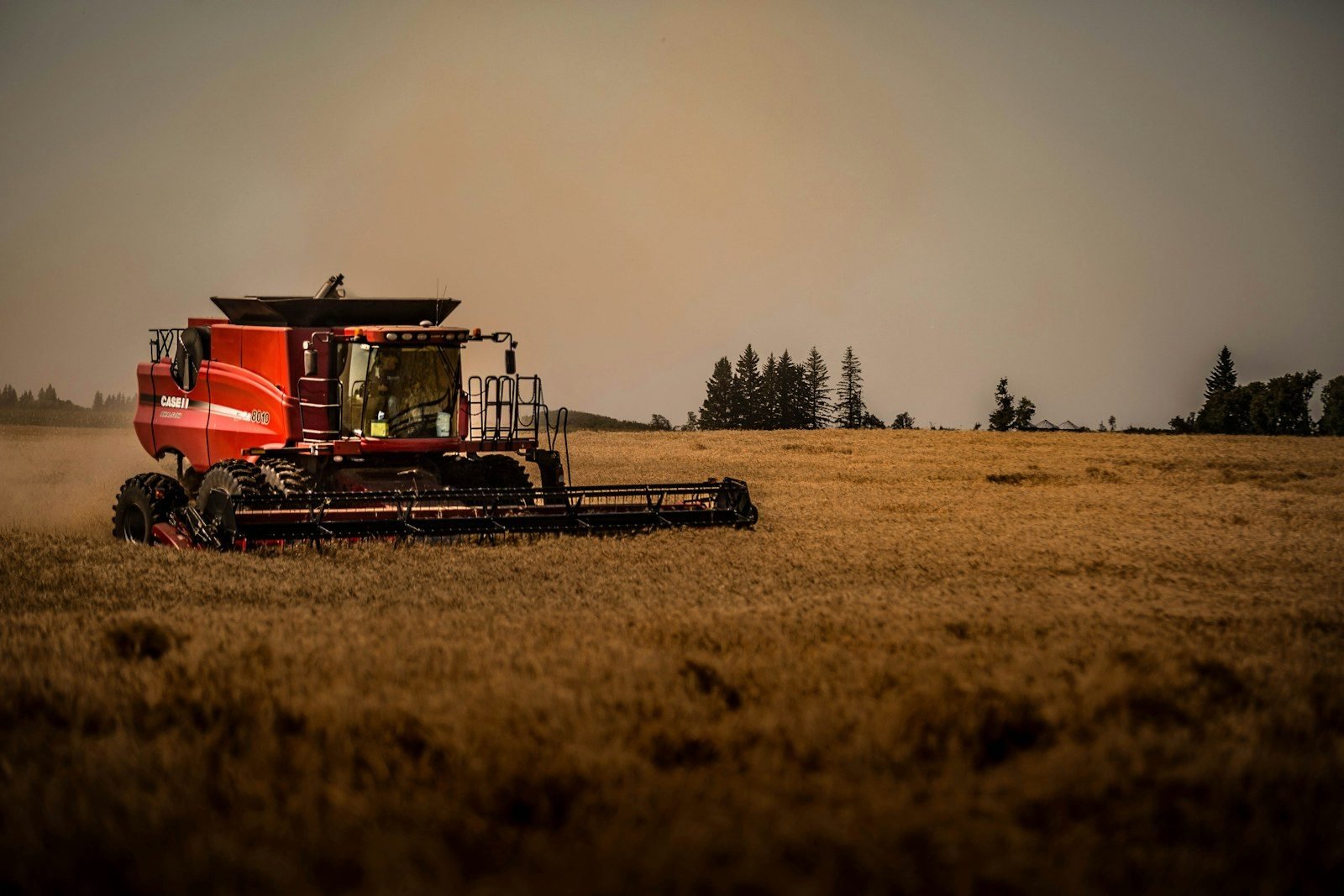 Cosechadora John Deere en campo de trigo al atardecer